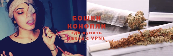 шишки Семёнов