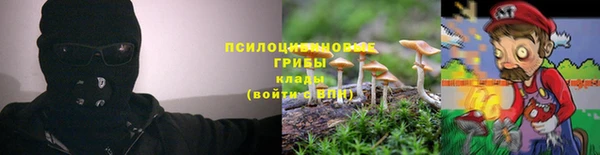 2c-b Богородицк