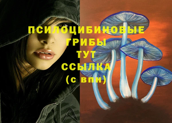 круглые Богданович