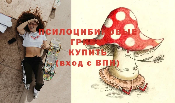 круглые Богданович