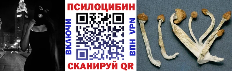 Галлюциногенные грибы Psilocybine cubensis закладки Медвежьегорск
